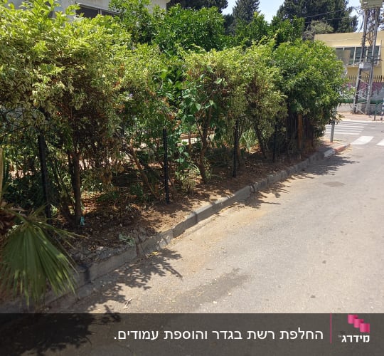 גדר מתכת עם שיחים ירוקים לאורך המדרכה